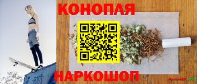 крисы Жуковский