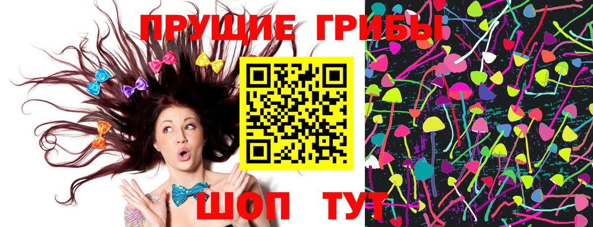 Галлюциногенные грибы мицелий Зеленогорск
