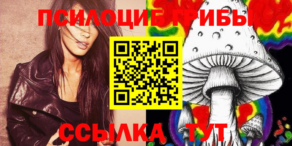 Зеленогорск  Псилоцибиновые грибы мицелий  Вход с VPN  Псилоцибиновые грибы GOLDEN TEACHER 